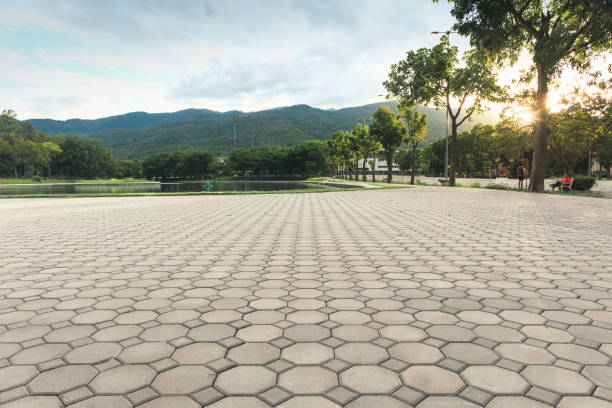 Professional Driveway Pavers in Gloster, MS